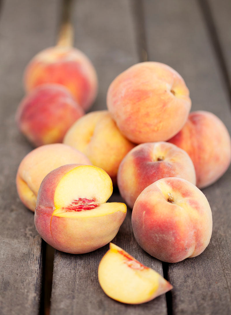 Peach Collection Summer Creations– The Preservatory